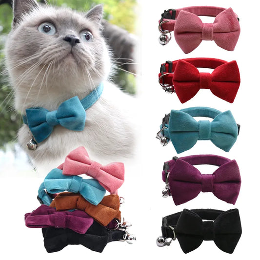 Velvet Cat Collar Solid  Pets Accessories