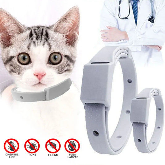 Anti Flea Tick Collar For Cat Small Dog Antiparasitic Pet Accessories